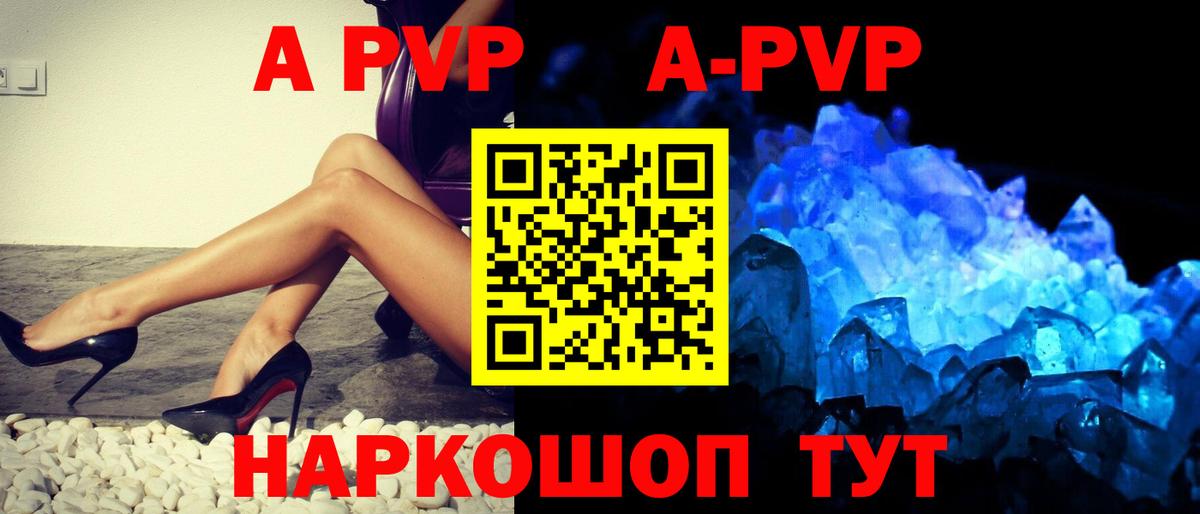 Альфа ПВП СК КРИС Владимир