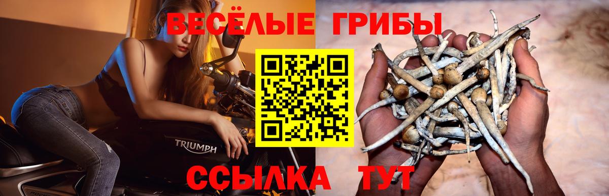 Псилоцибиновые грибы мицелий  Вход с VPN  Галлюциногенные грибы Psilocybe  Владимир 