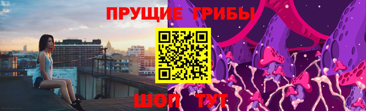 Галлюциногенные грибы GOLDEN TEACHER Владимир